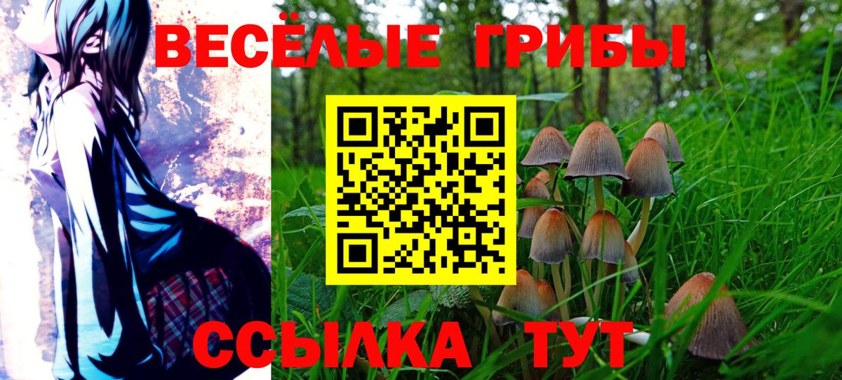 Галлюциногенные грибы MAGIC MUSHROOMS Оренбург